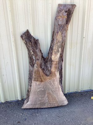 Claro Walnut Slab Lumber