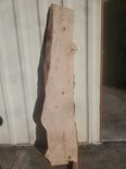 Deodar Cedar Slab Lumber