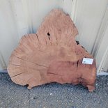 Pacific Madrone Cookie Lumber