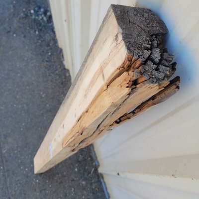 Monterey Pine Post, Lumber