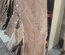 Claro Walnut Slab Lumber