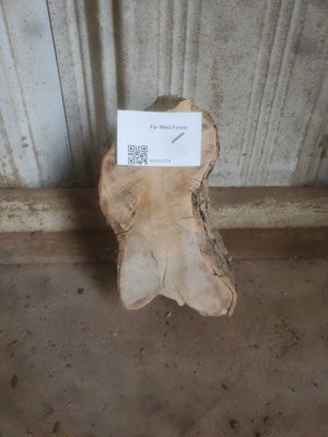 Olive Wood Cookie Lumber