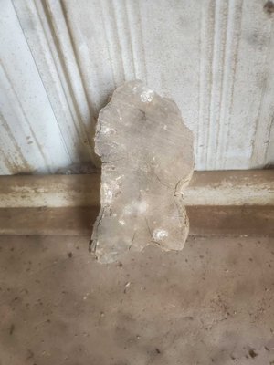 Olive Wood Cookie Lumber