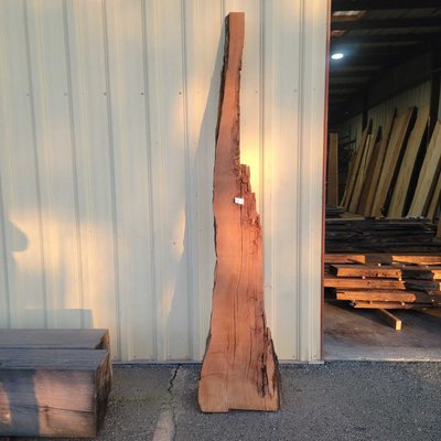 Giant Sequoia / Giant Redwood Slab Lumber
