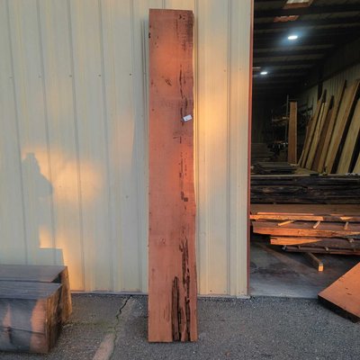 Giant Sequoia / Giant Redwood Slab Lumber