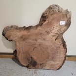 Claro Walnut Cookie Lumber