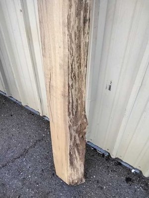 California White Oak / Valley Oak Single Lumber