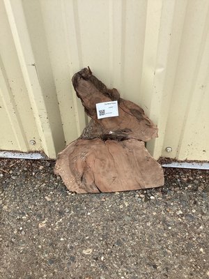 Claro Walnut Turning Lumber