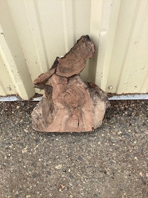 Claro Walnut Turning Lumber