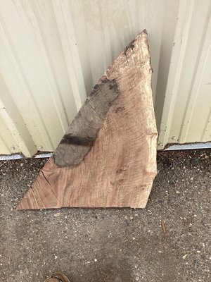 English Walnut Slab Lumber