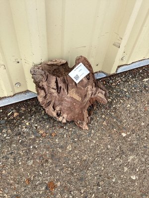 Claro Walnut Turning Lumber