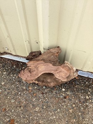 Claro Walnut Turning Lumber