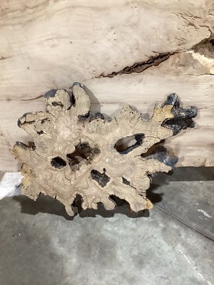 Olive Wood Cookie Lumber