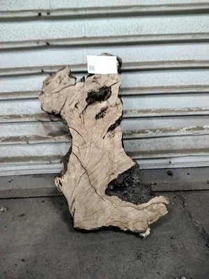 Olive Wood Cookie Lumber