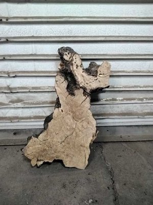 Olive Wood Cookie Lumber