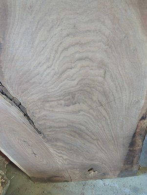 Claro Walnut Slab Lumber