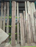 English Walnut Board Lumber