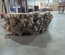 Black Cottonwood Bases Lumber