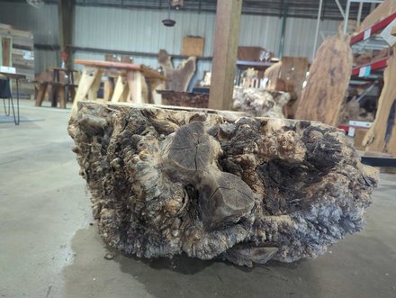 Black Cottonwood Bases Lumber