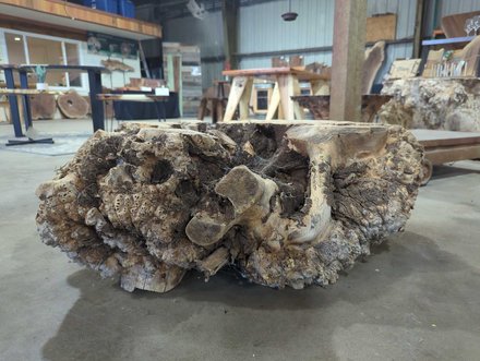 Black Cottonwood Bases Lumber