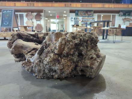 Black Cottonwood Bases Lumber