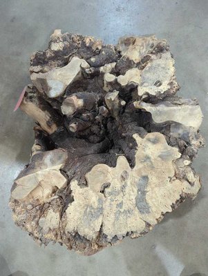 Black Cottonwood Bases Lumber