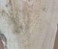 Pecan Board Lumber