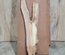 Pecan Board Lumber