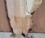 Pecan Board Lumber