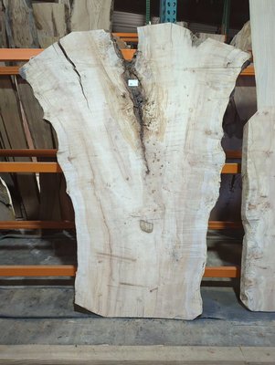 Silver Maple Board Lumber