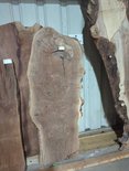 Claro Walnut Slab Lumber