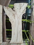 Silver Maple Slab Lumber