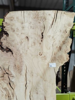 Silver Maple Slab Lumber