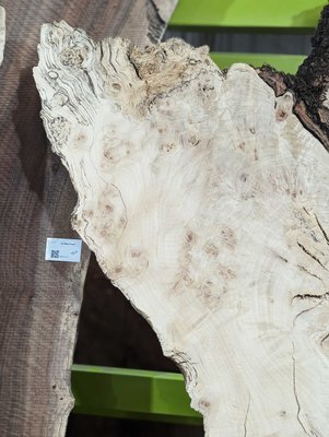 Silver Maple Slab Lumber