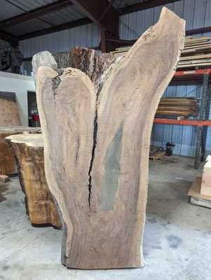 Claro Walnut Slab Lumber