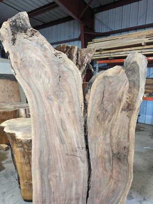 Claro Walnut Slab Lumber