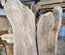 Claro Walnut Slab Lumber