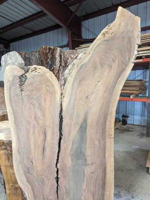 Claro Walnut Slab Lumber