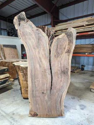 Claro Walnut Slab Lumber