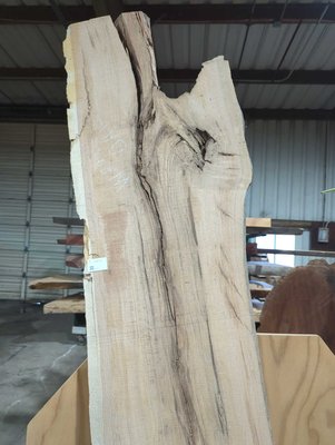 California White Oak / Valley Oak Slab Lumber