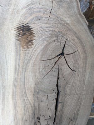 Bastogne Walnut / Paradox Walnut Slab Lumber