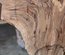 Claro Walnut Slab Lumber