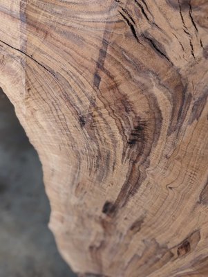 Claro Walnut Slab Lumber