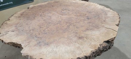 Claro Walnut Bases Lumber