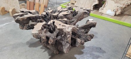 Olive Wood Bases Lumber