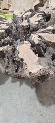 Olive Wood Bases Lumber