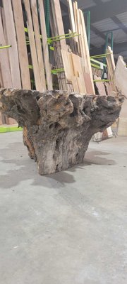 Olive Wood Bases Lumber