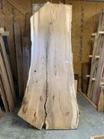 Willow Oak Slab Lumber